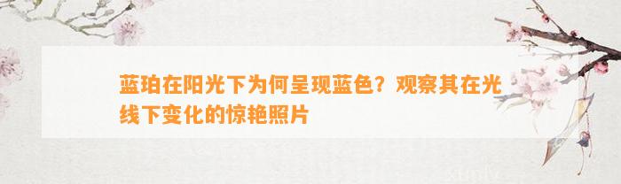 蓝珀在阳光下为何呈现蓝色？观察其在光线下变化的惊艳照片