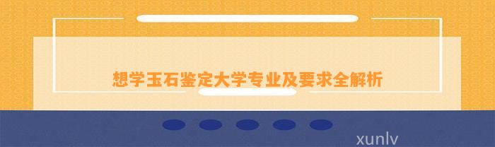 想学玉石鉴定大学专业及请求全解析