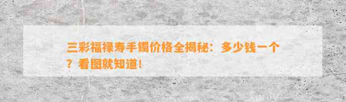 三彩福禄寿手镯价格全揭秘：多少钱一个？看图就知道！