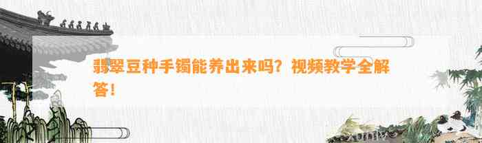 翡翠豆种手镯能养出来吗？视频教学全解答！