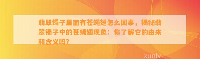 翡翠镯子里面有苍蝇翅怎么回事，揭秘翡翠镯子中的苍蝇翅现象：你熟悉它的由来和含义吗？