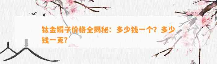 钛金镯子价格全揭秘：多少钱一个？多少钱一克？