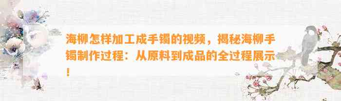 海柳怎样加工成手镯的视频，揭秘海柳手镯制作过程：从原料到成品的全过程展示！