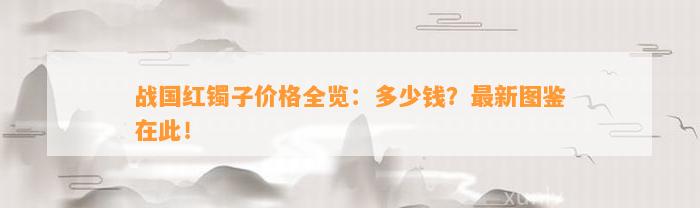 战国红镯子价格全览：多少钱？最新图鉴在此！