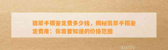 翡翠手镯鉴定费多少钱，揭秘翡翠手镯鉴定费用：你需要知道的价格范围