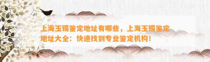 上海玉镯鉴定地址有哪些，上海玉镯鉴定地址大全：快速找到专业鉴定机构！