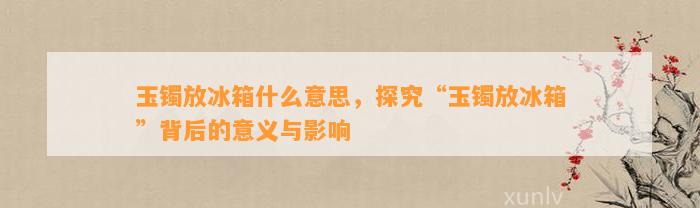 玉镯放冰箱什么意思，探究“玉镯放冰箱”背后的意义与作用