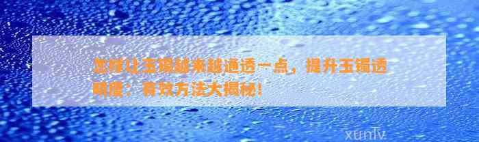 怎样让玉镯越来越通透一点，提升玉镯透明度：有效方法大揭秘！