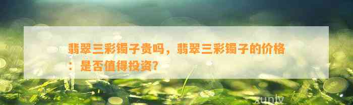 翡翠三彩镯子贵吗，翡翠三彩镯子的价格：是不是值得投资？