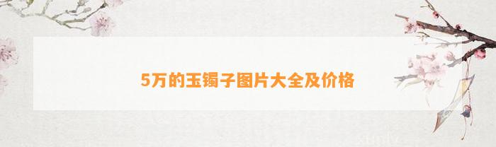 5万的玉镯子图片大全及价格