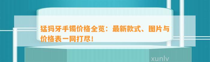 猛犸牙手镯价格全览：最新款式、图片与价格表一网打尽！