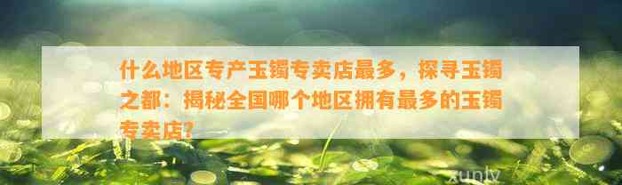 什么地区专产玉镯专卖店最多，探寻玉镯之都：揭秘全国哪个地区拥有最多的玉镯专卖店？