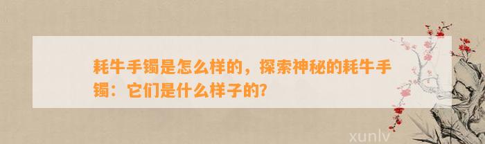 耗牛手镯是怎么样的，探索神秘的耗牛手镯：它们是什么样子的？