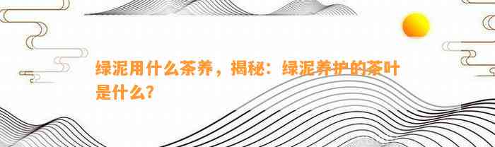 绿泥用什么茶养，揭秘：绿泥养护的茶叶是什么？