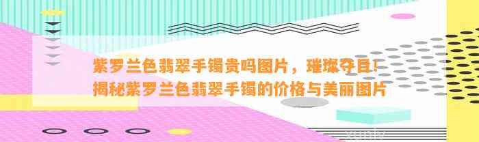 紫罗兰色翡翠手镯贵吗图片，璀璨夺目！揭秘紫罗兰色翡翠手镯的价格与美丽图片