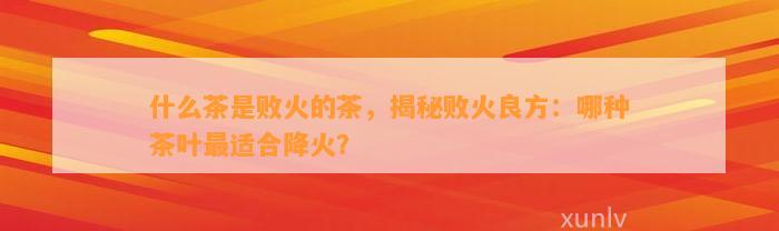 什么茶是败火的茶，揭秘败火良方：哪种茶叶最适合降火？