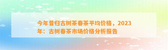 今年昔归古树茶春茶平均价格，2023年：古树春茶市场价格分析报告