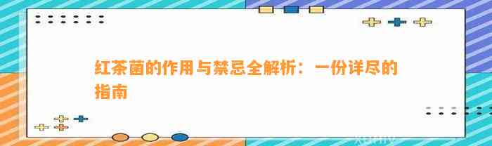 红茶菌的作用与禁忌全解析：一份详尽的指南