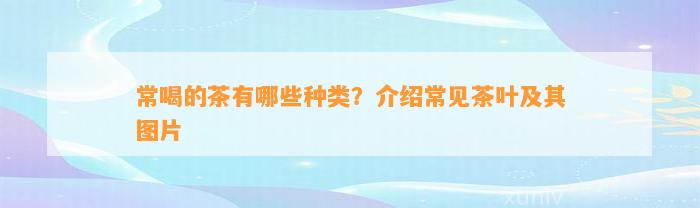 常喝的茶有哪些种类？介绍常见茶叶及其图片