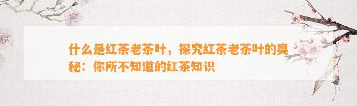 什么是红茶老茶叶，探究红茶老茶叶的奥秘：你所不知道的红茶知识