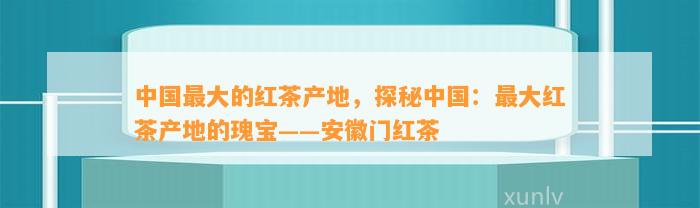 中国最大的红茶产地，探秘中国：最大红茶产地的瑰宝——安徽门红茶