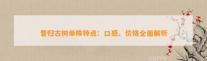 昔归古树单株特点：口感、价格全面解析