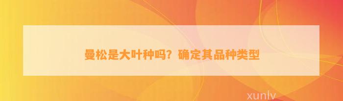 曼松是大叶种吗？确定其品种类型