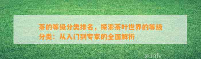 茶的等级分类排名，探索茶叶世界的等级分类：从入门到专家的全面解析