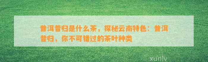 普洱昔归是什么茶，探秘云南特色：普洱昔归，你不可错过的茶叶种类