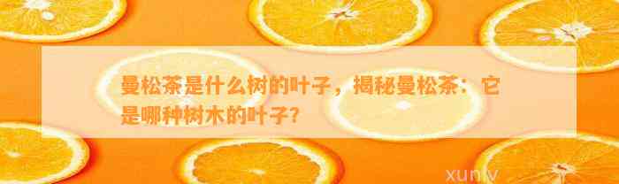 曼松茶是什么树的叶子，揭秘曼松茶：它是哪种树木的叶子？