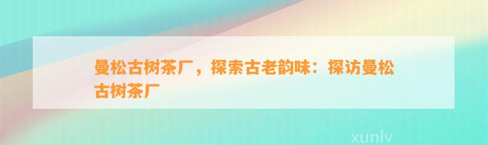 曼松古树茶厂，探索古老韵味：探访曼松古树茶厂