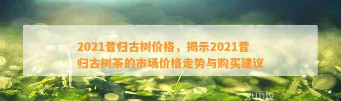 2021昔归古树价格，揭示2021昔归古树茶的市场价格走势与购买建议