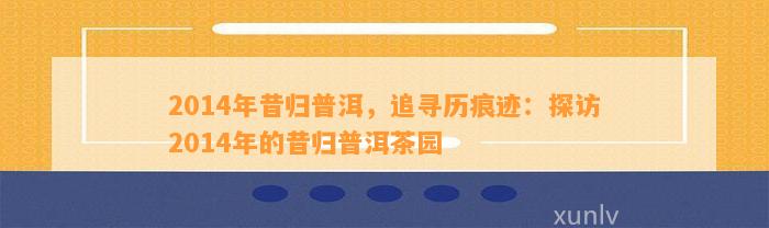 2014年昔归普洱，追寻历痕迹：探访2014年的昔归普洱茶园