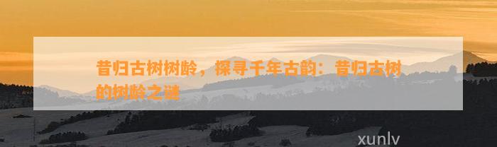 昔归古树树龄，探寻千年古韵：昔归古树的树龄之谜