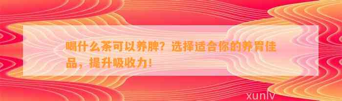 喝什么茶可以养脾？选择适合你的养胃佳品，提升吸收力！