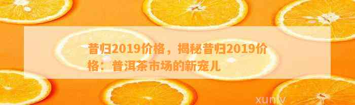 昔归2019价格，揭秘昔归2019价格：普洱茶市场的新宠儿