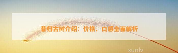 昔归古树介绍：价格、口感全面解析