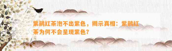 紫鹃红茶泡不出紫色，揭示真相：紫鹃红茶为何不会呈现紫色？