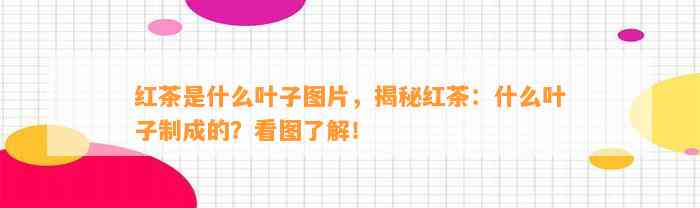 红茶是什么叶子图片，揭秘红茶：什么叶子制成的？看图了解！