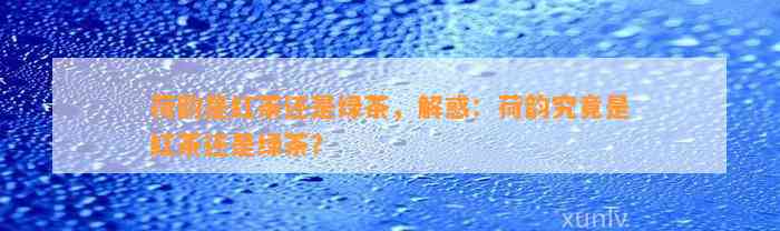 荷韵是红茶还是绿茶，解惑：荷韵究竟是红茶还是绿茶？