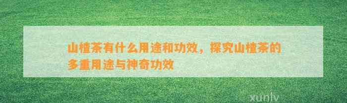 山楂茶有什么用途和功效，探究山楂茶的多重用途与神奇功效