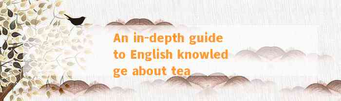 An in-depth guide to English knowledge about tea