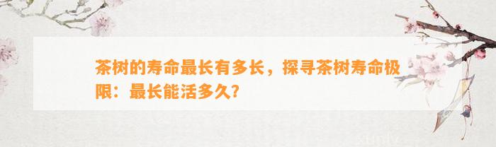 茶树的寿命最长有多长，探寻茶树寿命极限：最长能活多久？