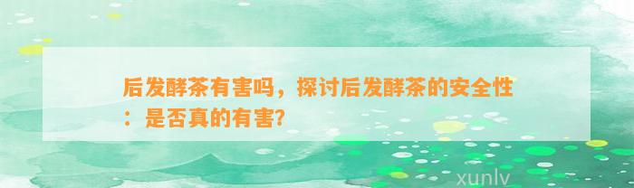 后发酵茶有害吗，探讨后发酵茶的安全性：是不是真的有害？