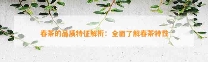 春茶的品质特征解析：全面熟悉春茶特性