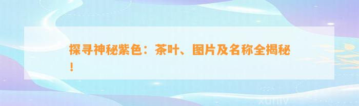 探寻神秘紫色：茶叶、图片及名称全揭秘！