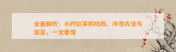 全面解析：小柠红茶的功效、冲泡方法与禁忌，一文看懂