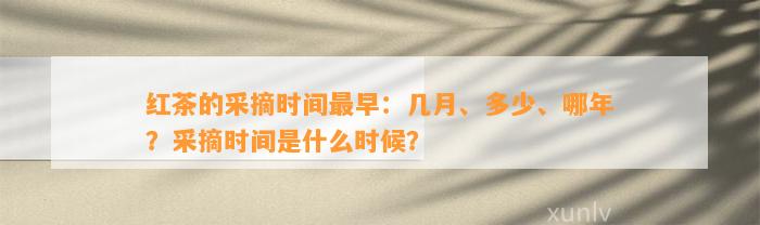 红茶的采摘时间最早：几月、多少、哪年？采摘时间是什么时候？