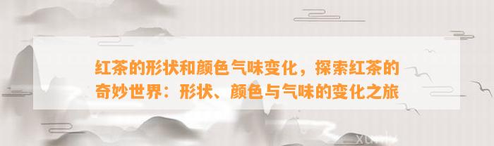 红茶的形状和颜色气味变化，探索红茶的奇妙世界：形状、颜色与气味的变化之旅