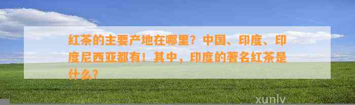 红茶的主要产地在哪里？中国、印度、印度尼西亚都有！其中，印度的著名红茶是什么？